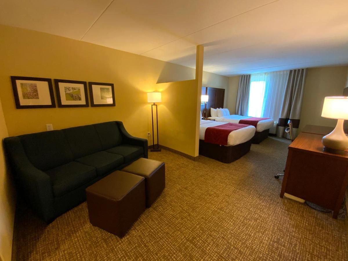 Comfort Suites Fredericksburg North Extérieur photo