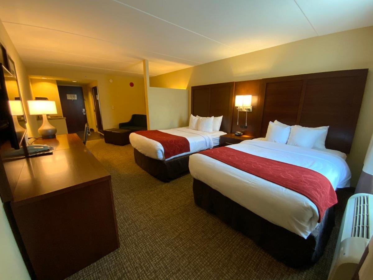 Comfort Suites Fredericksburg North Extérieur photo