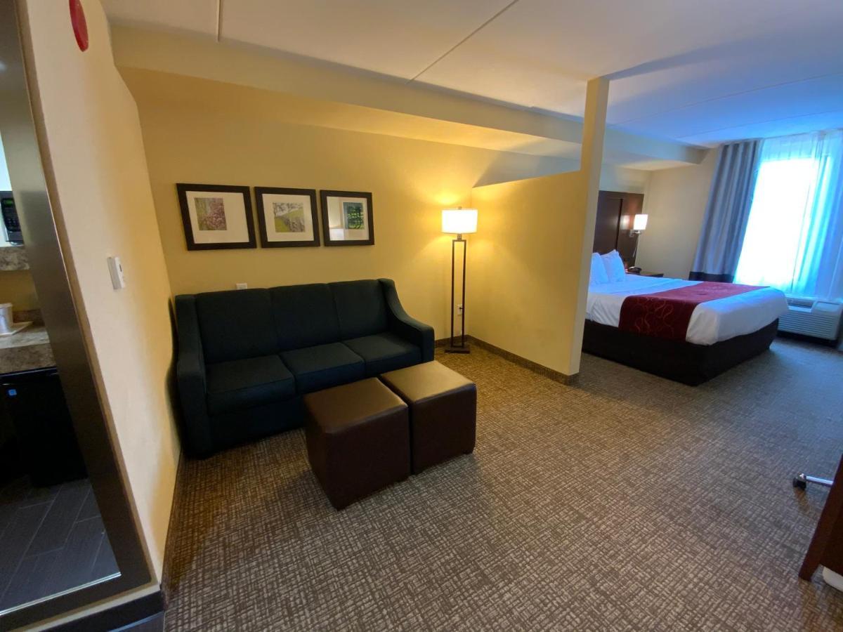 Comfort Suites Fredericksburg North Extérieur photo