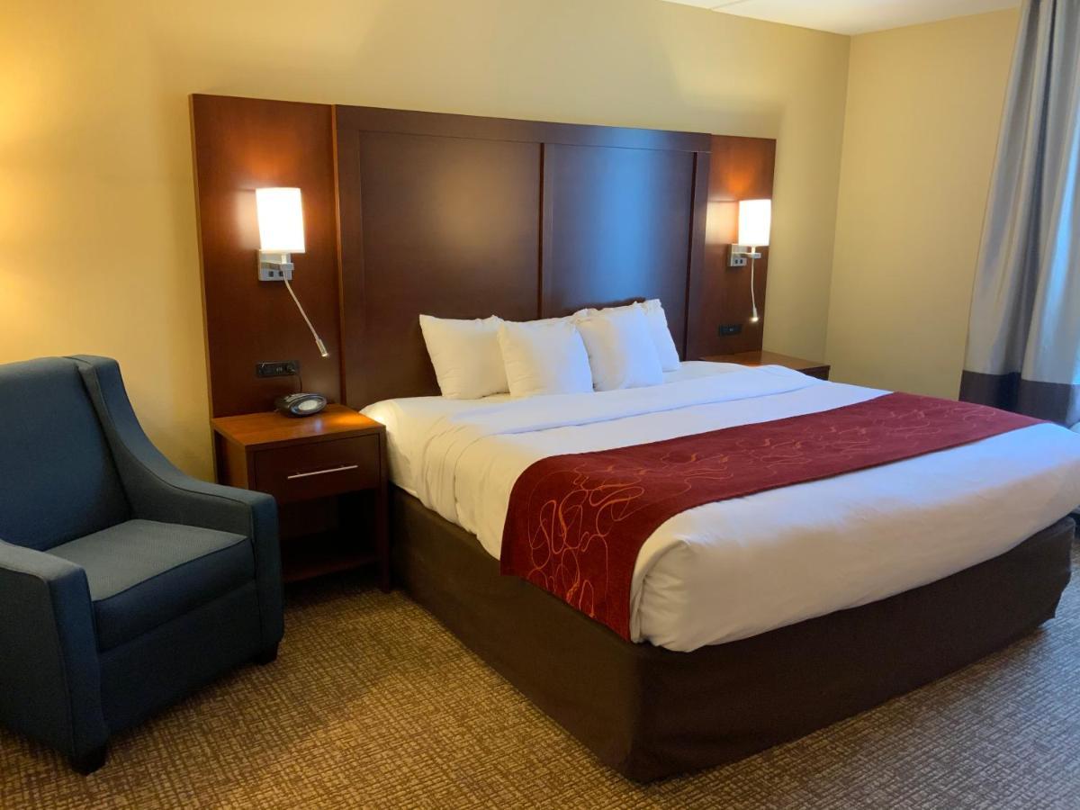 Comfort Suites Fredericksburg North Extérieur photo