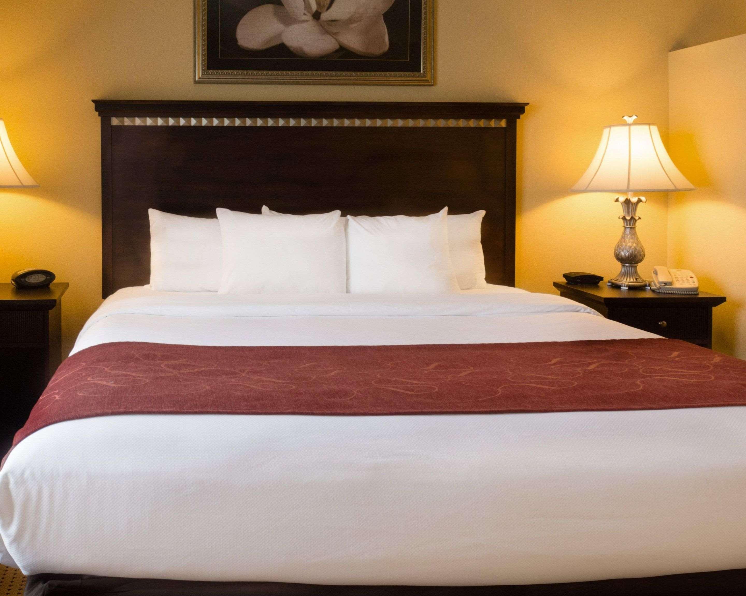 Comfort Suites Fredericksburg North Extérieur photo