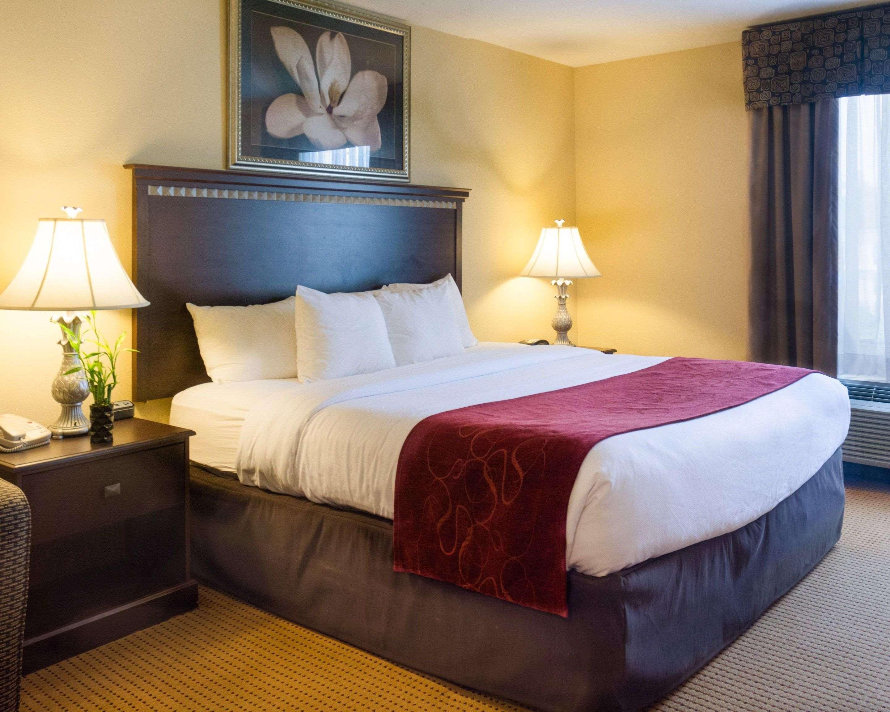 Comfort Suites Fredericksburg North Extérieur photo
