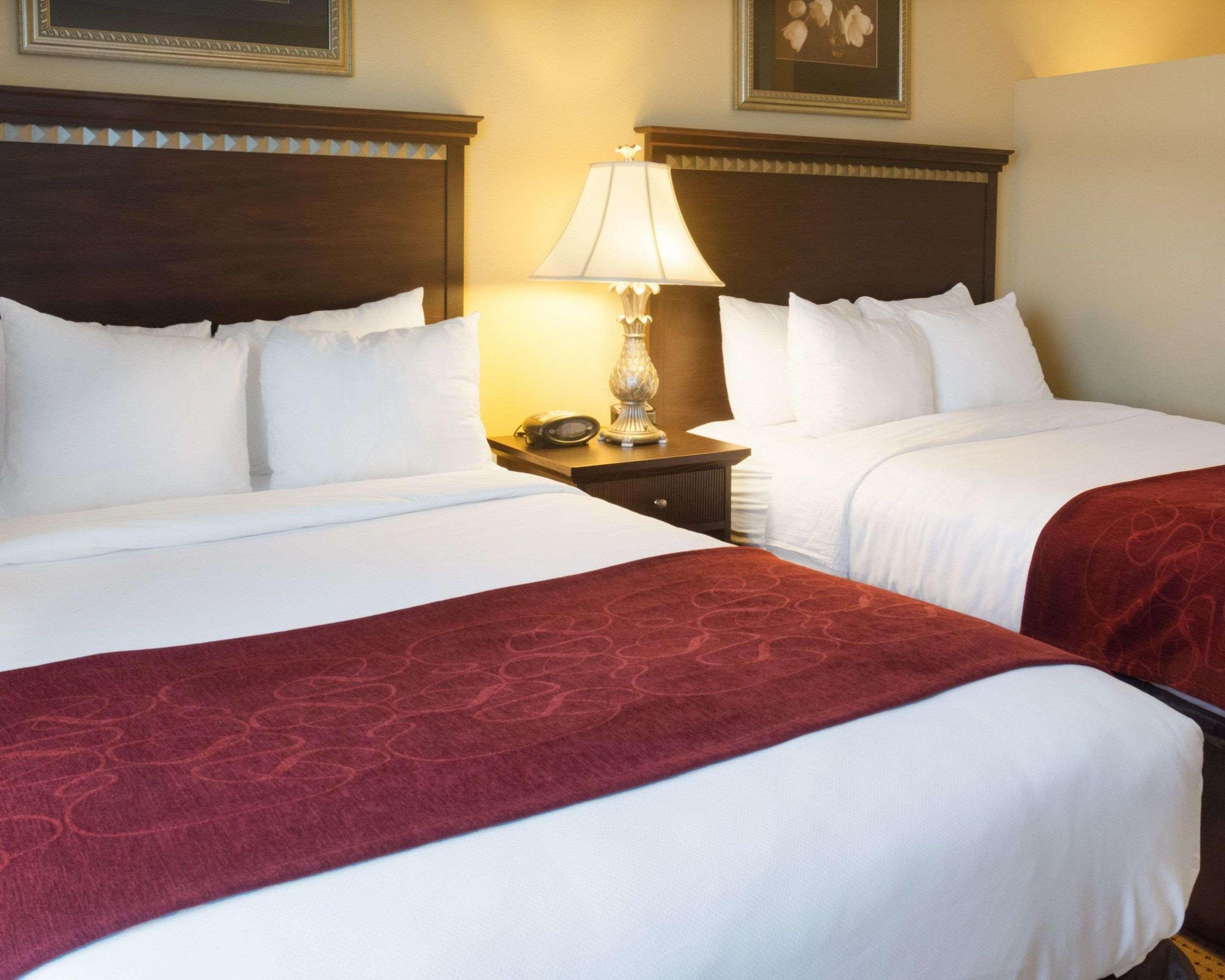 Comfort Suites Fredericksburg North Extérieur photo